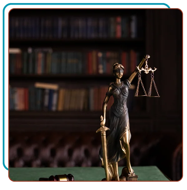 Mimansa Law Partners